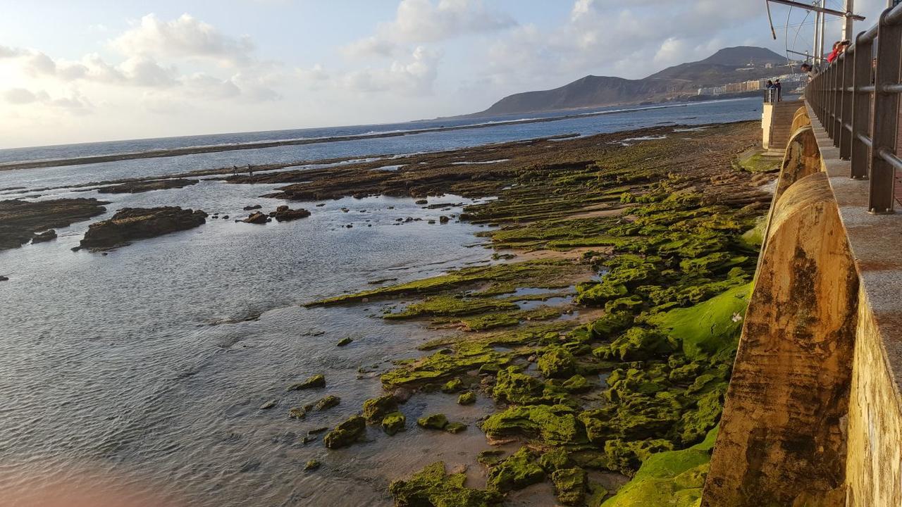 Vcv Marta Canteras Beach Las Palmas de Gran Canaria Extérieur photo